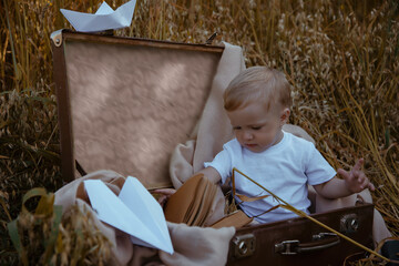 Portrait of a child boy sitting in a suitcase in nature. Rest and travel with children.