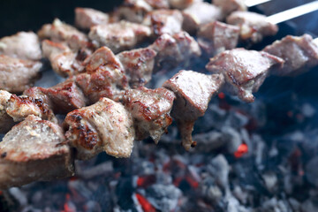 Pork neck kebab on skewers