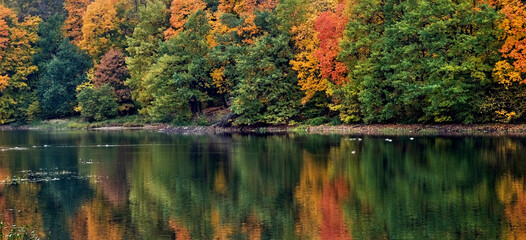 Scenic autumn landscape with colorful trees by the lake and ducks