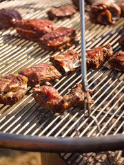 shish kebab on the grill