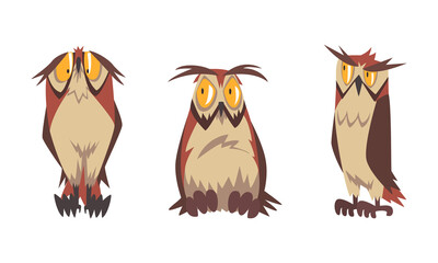 Feathered Owl with Big Yellow Eyes and Sharp Talon in Sitting Pose Vector Set