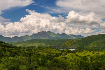 Southern Arizona landscape in summer
