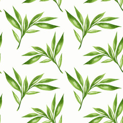 Naklejka na ściany i meble Floral background with green leaves watercolour in hand drawn style. Green leaves seamless pattern on white. Foliage background for paper, textile, wrapping and wallpaper.