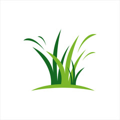 Green grass vector template