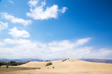 Blue sky and sand dunes. Sunny day.
