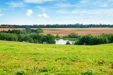 Summer meadow with green grass by the lake.