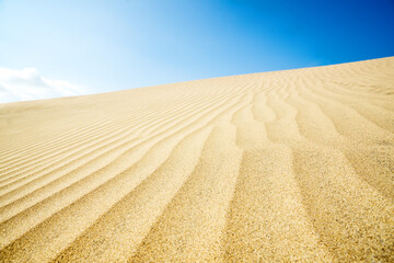 Blue sky and sand dunes. Sunny day.