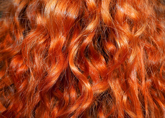close to long red curly hair . rear view