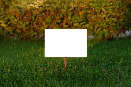 on a green lawn, against a background of bushes, a sign with a white background is installed. copy space. Sunlight. Layout for warnings or prohibitions. Horizontal photo.