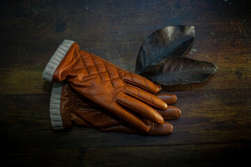 closeup photo of a pair of stylish leather gloves - 459323236