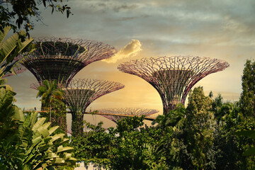Singapore sunset with view of supertrees