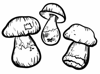 Mushrooms drawn with a black outline in the doodle style. Mushroom icons, autumn mushrooms. Vector illustration. Black and white vector illustration. Autumn decoration.