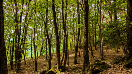 兵庫県宍粟市・晩夏の高原にて