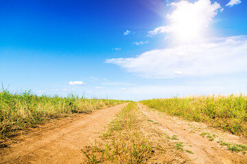Fototapeta na wymiar Field of green grass. Dirt road to the horizon.