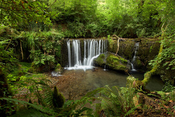 Obraz premium Beautiful waterfall in a forest in Galicia, Spain, known by the name of San Pedro de Incio.