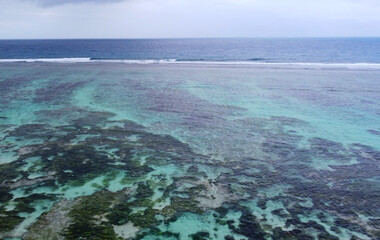 Top view of a beautiful emerald beach with corals in the Seychelles