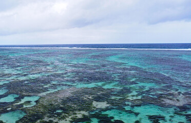 Top view of a beautiful emerald beach with corals in the Seychelles