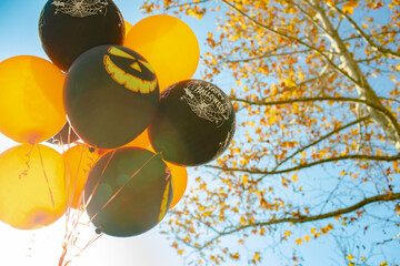Halloween balloons in orange and black color