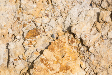 brown stone background with irregular shapes