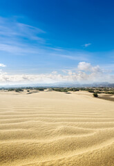 Fototapeta na wymiar Blue sky and sand dunes. Sunny day.