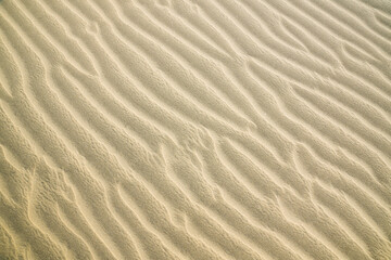 Fototapeta na wymiar The texture of the sand dunes.