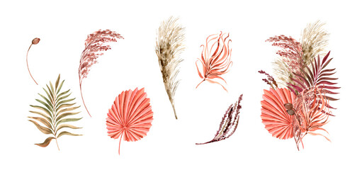 Watercolor pampas grass, pink palm leaves set. Botanical boho frame, elements isolated on white. Bohemian style wedding invitation, greeting, card, stickers, scrapbooking