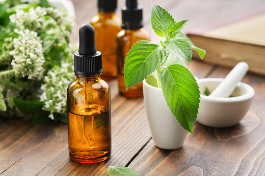Dropper bottles of mint essential oil, tincture or infusion, mortars of peppermint leaves, blossom spearmint plants and book on background.