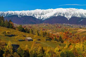 Autumn landscape with beautiful snowy mountains in background, Carpathians, Romania