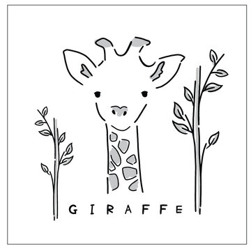 Sweet giraffe vector illustration in hand-drawing. Cute animal head shot picture with hand lettering - Giraffe - 