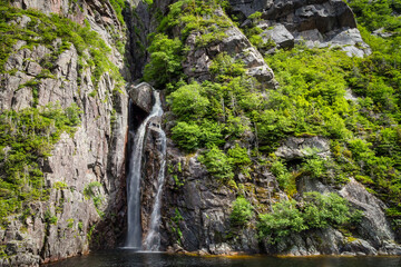 Large waterfall in a forest - Gros Morne National Park - Western Brook Pond