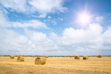 Stack of straw on the field.
