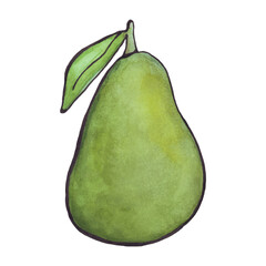 Avocado, pear watercolor. Green berry, fruit. Vector illustration.