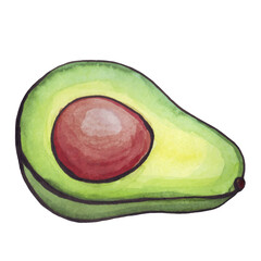 Avocado watercolor. Half an avocado. Large fruit bone. Green berry. Vector illustration.