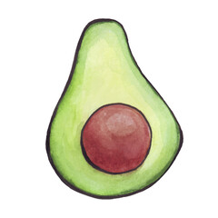 Avocado watercolor. Half an avocado. Large fruit bone. Green berry. Vector illustration.