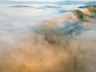 A thin morning fog covers the Ukrainian mountains. Green grass on the slopes of the mountains. A curly thin fog spreads over the mountains. Aerial drone view.