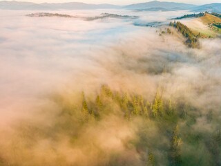 A thin morning fog covers the Ukrainian mountains. Green grass on the slopes of the mountains. A curly thin fog spreads over the mountains. Aerial drone view.
