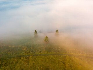 A thin layer of fog floats across the ridge at dawn. Fir trees grow on the slope. Ukrainian Carpathians in the morning. Aerial drone view.