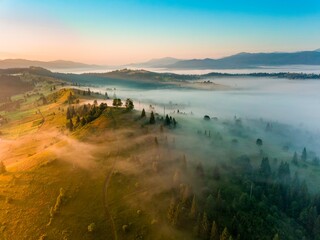 A thin layer of fog floats across the ridge at dawn. Fir trees grow on the slope. Ukrainian Carpathians in the morning. Aerial drone view.