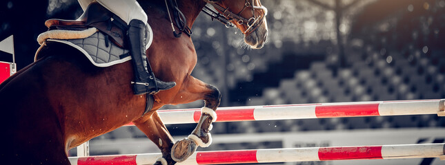 The shod hooves of a horse over an obstacle. The horse overcomes an obstacle. Equestrian sport,...