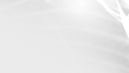 Obraz premium Dot white gray wave light technology texture background. Abstract big data digital concept. 3d rendering.