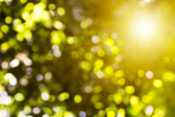 Obraz premium Yellow lights background. Suuny.