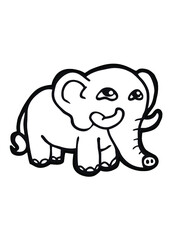 bébé éléphant trop mignon