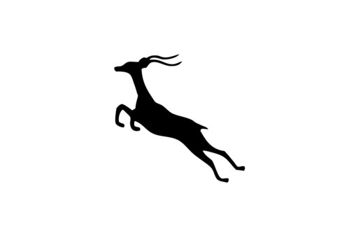 Springbok