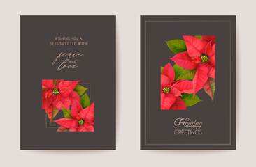 Poinsettia Realistic Vector Christmas Card Set, Floral Happy New Year Illustration. Mistletoe Frame Design