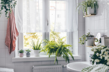 Modern white bathroom with a washbasin, big window, and many plants. Home comfort zone. Wellness