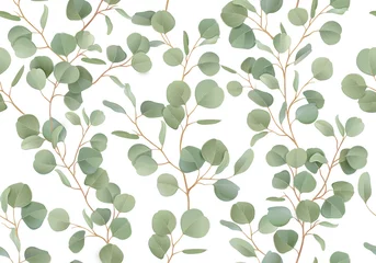 Deurstickers Wit Eucalyptus bloemen aquarel naadloze patroon. Vector illustratie tropisch groen takken achtergrond