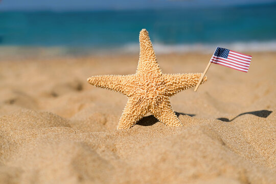 A starfish holds an American flag on the seashore. Labor day holiday concept. 4th of July USA Independence Day.  Copy space for text.