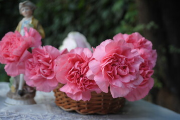 pink carnations in a basket