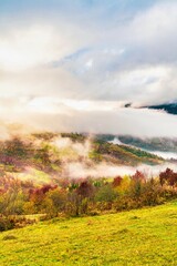 Colorful forests in the warm Carpathian mountains covered with thick gray fog