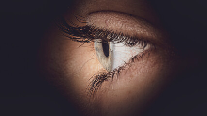 side view  eye  close-up shot